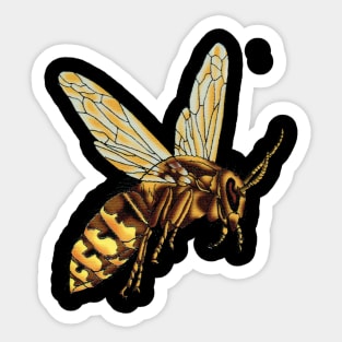 Hornet Sticker